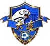 大连队